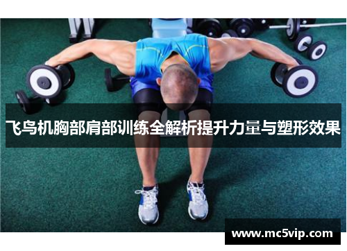 飞鸟机胸部肩部训练全解析提升力量与塑形效果