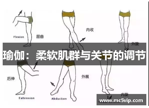 瑜伽：柔软肌群与关节的调节