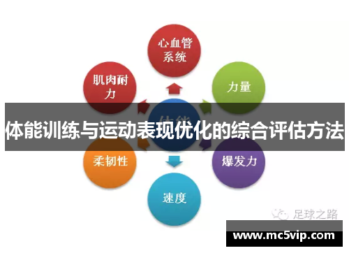 体能训练与运动表现优化的综合评估方法